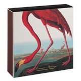 American Flamingo Matches