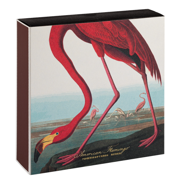 American Flamingo Matches