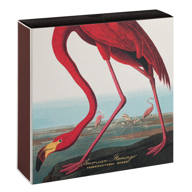American Flamingo Matches