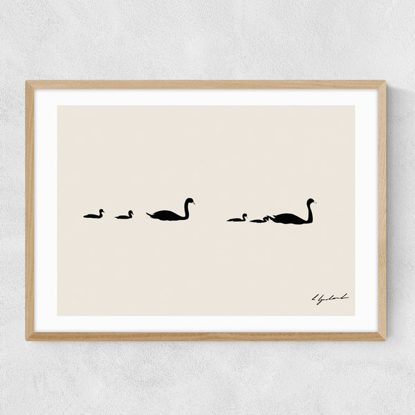 Swan Family, by Hali Igwelaezoh
