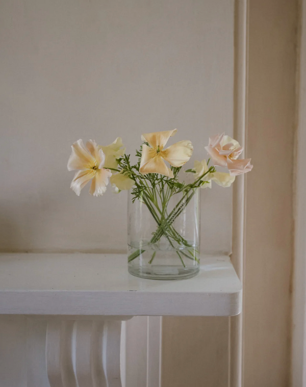 Wide Glass Fern Vase