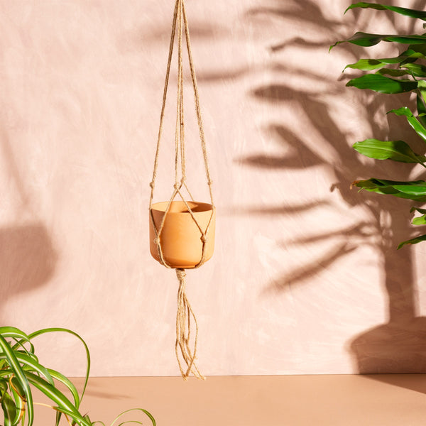 Small Terracotta Planter with Macrame Hanger
