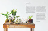 How to Plant a Room and Grow a Happy Home