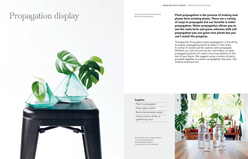 How to Plant a Room and Grow a Happy Home