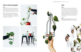 How to Plant a Room and Grow a Happy Home