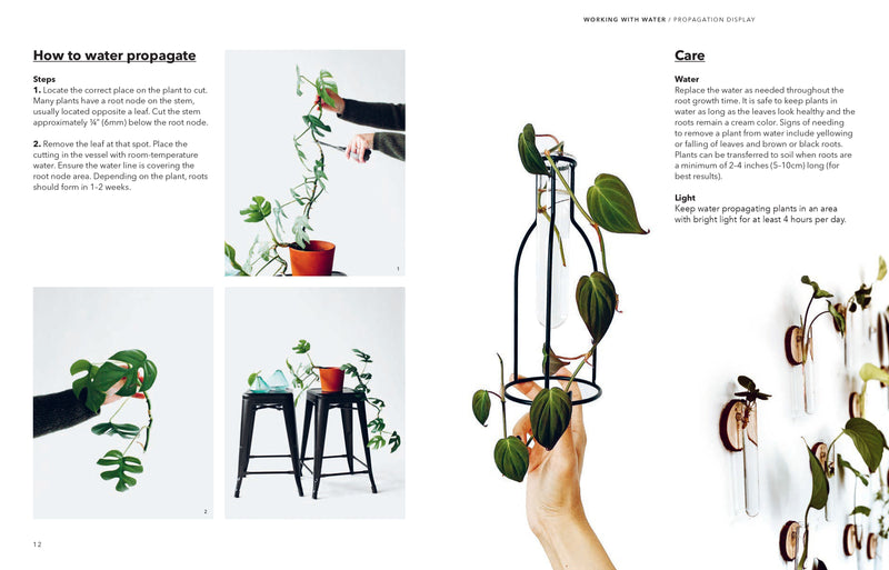 How to Plant a Room and Grow a Happy Home