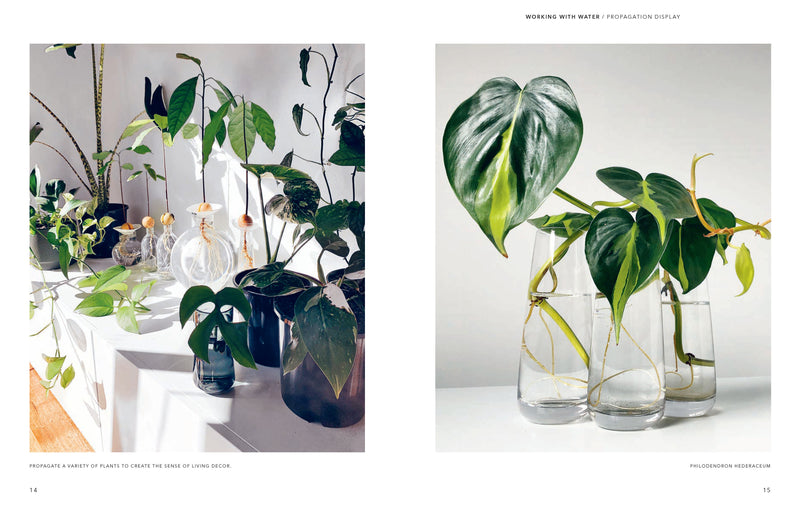 How to Plant a Room and Grow a Happy Home