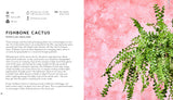 Little Book of Big Plants