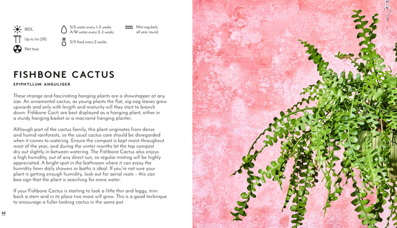 Little Book of Big Plants