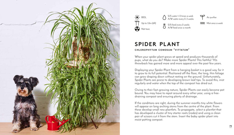 Little Book of Big Plants