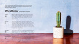 Little Book of Cacti