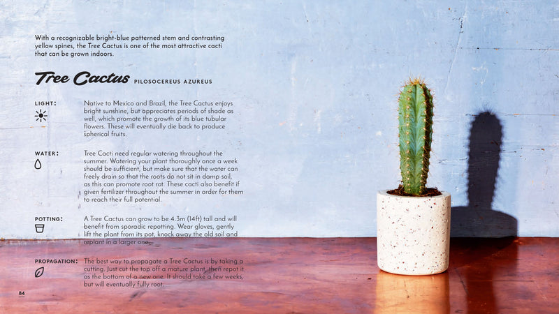 Little Book of Cacti