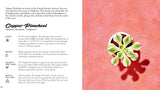 Little Book of Cacti